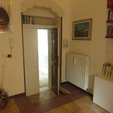 Il Volo Delle Rondini