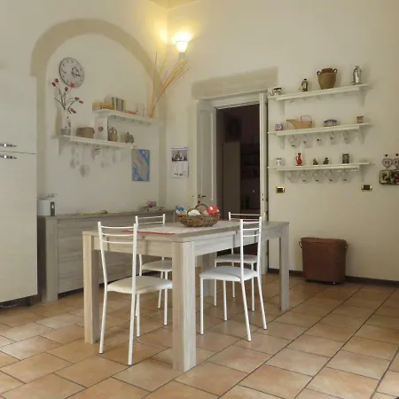 Il Volo Delle Rondini *